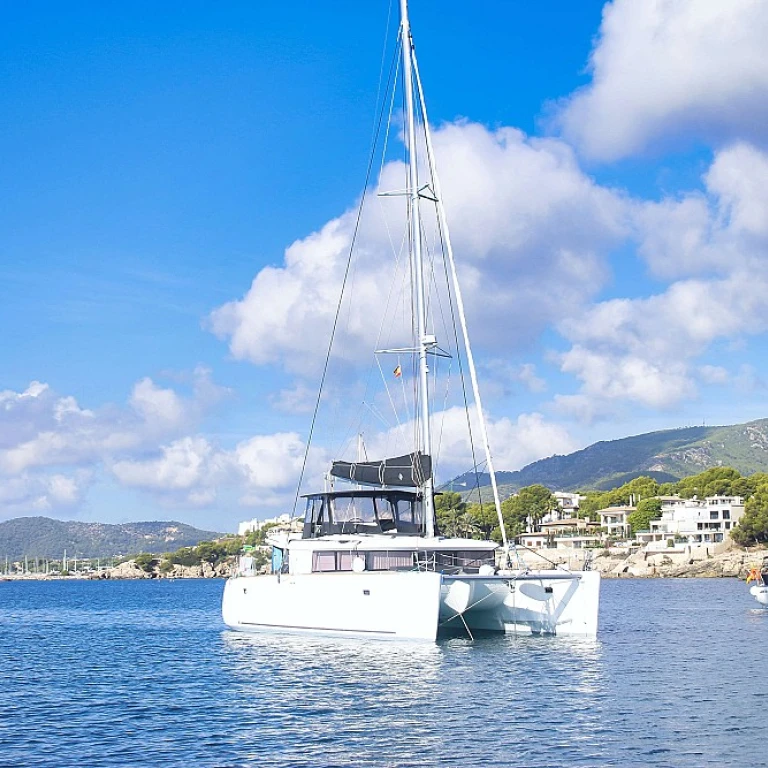 Les tendances nautiques qui font sensation cette année